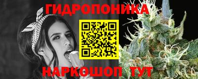 стаф Заволжье
