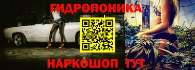 дмт Жуковский